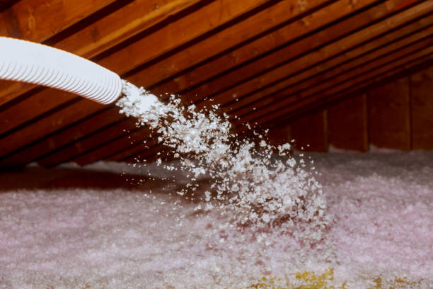 Best DIY Insulation Kits and Guidance in Taylor, AZ