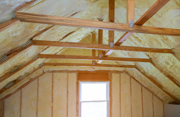 Best Commercial Insulation in Taylor, AZ