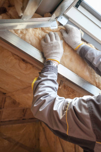 Best Spray Foam Insulation in Taylor, AZ