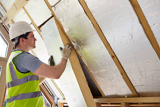 Best Geographic-Specific Insulation Services in Taylor, AZ